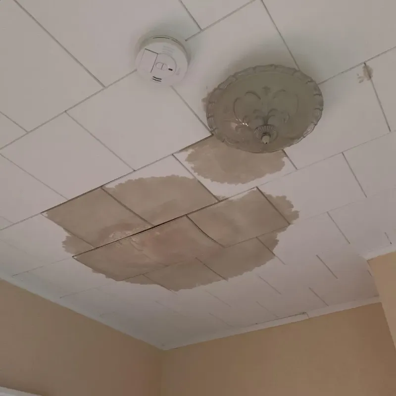 Ceiling Water Damage Repair in North Fork Village, OH
