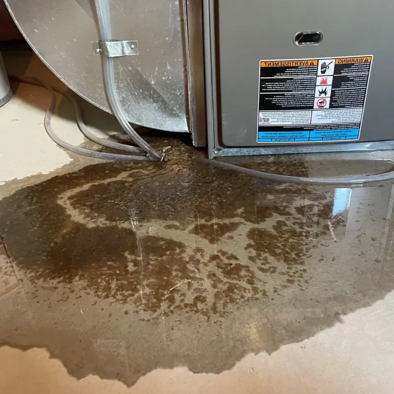 Pipe Burst and Leak Restoration in North Fork Village, OH