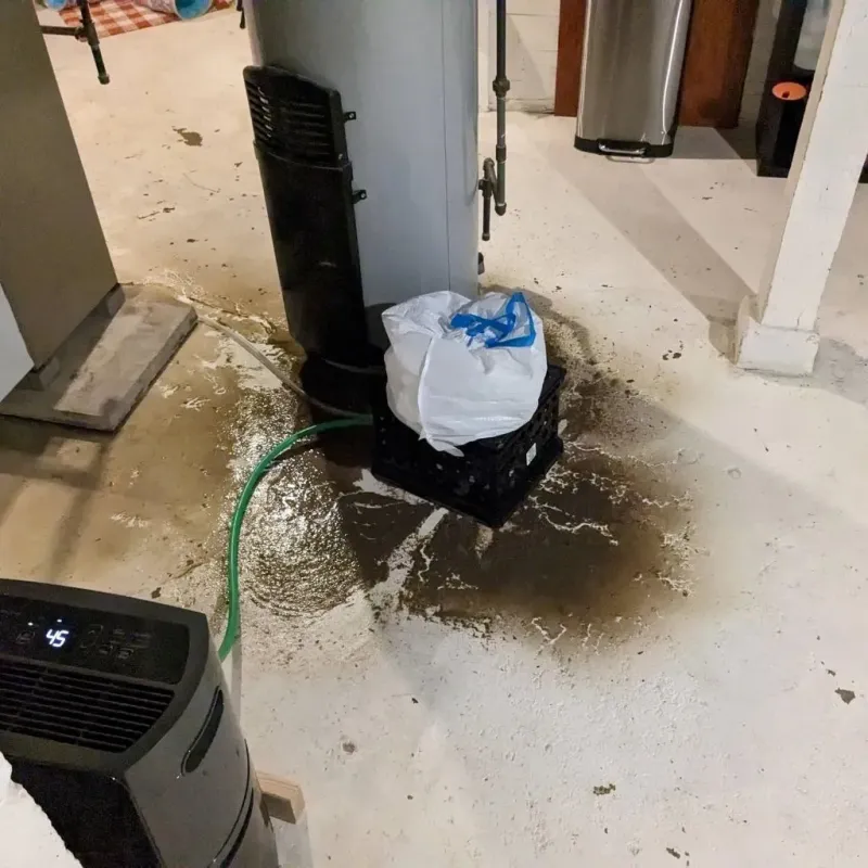 Sewage Backup Cleanup Service in North Fork Village, OH